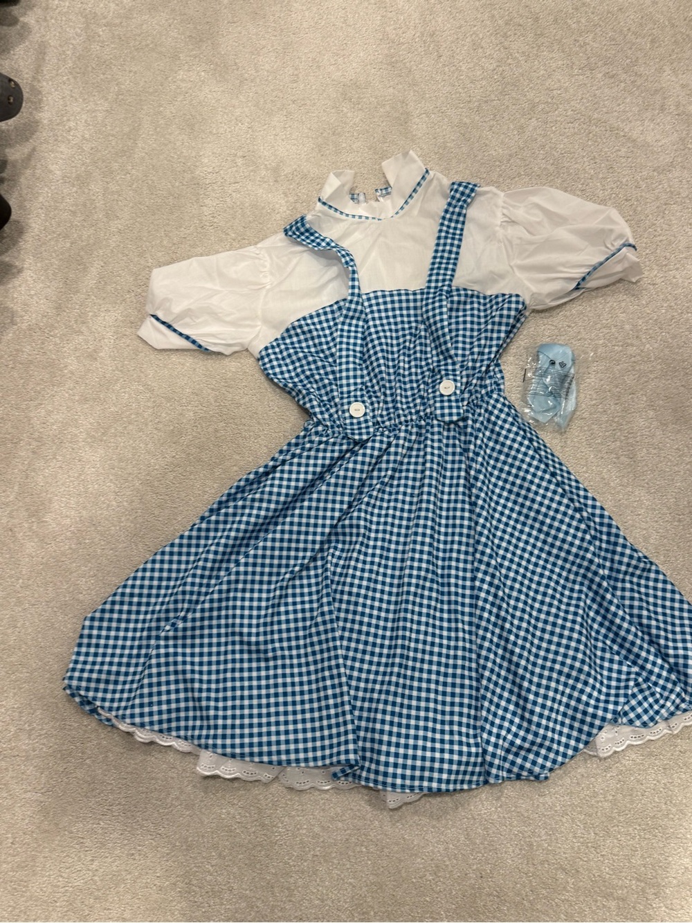 Dorothy (Wizard of Oz) Costume